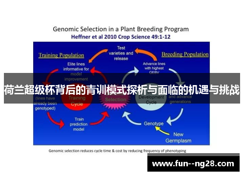 荷兰超级杯背后的青训模式探析与面临的机遇与挑战