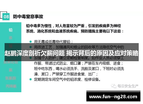 赵鹏深度剖析欠薪问题 揭示背后的原因及应对策略