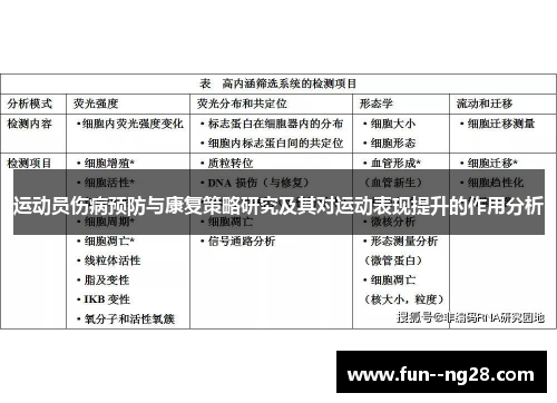 运动员伤病预防与康复策略研究及其对运动表现提升的作用分析